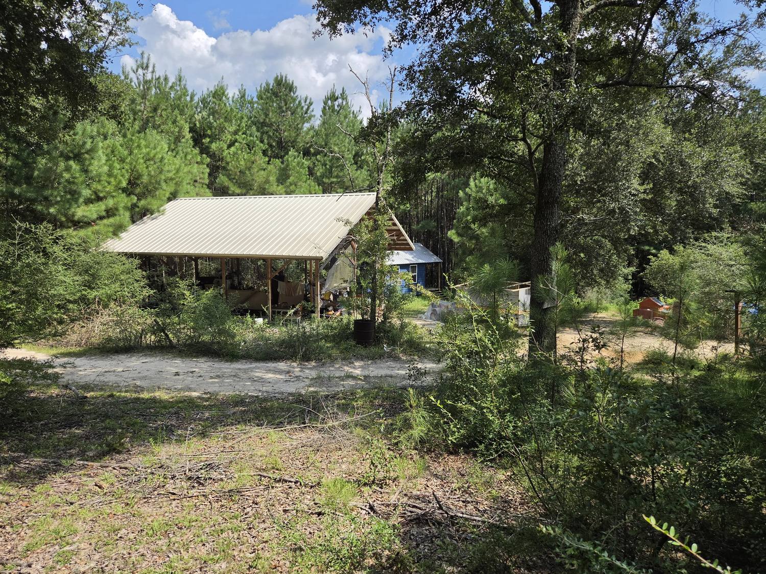 A pavilion with a metal roof and a small blue cabin set among pines, seen across a sandy clearing.